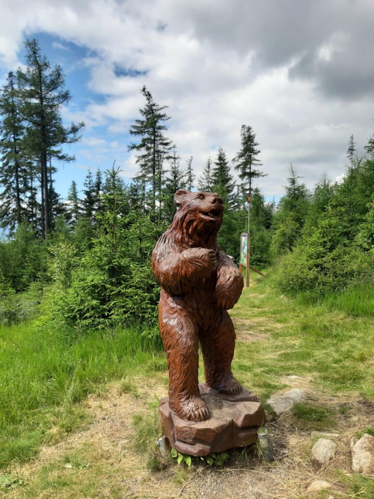 Medveď na Hrebienku